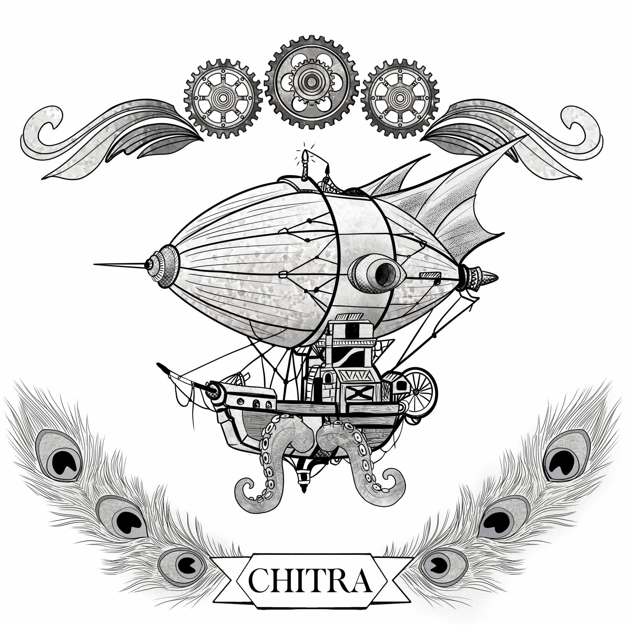 Notre partenaire Chitra